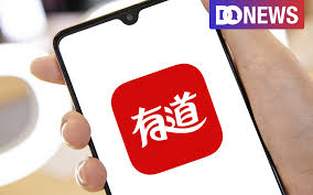 有道翻译如何设置翻译语言对？详细操作指南？
