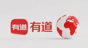 有道翻译的翻译速度优化技巧？