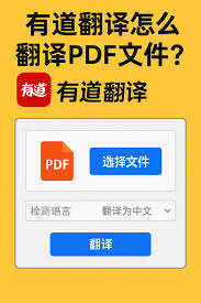 有道翻译整篇文档翻译功能使用教程？